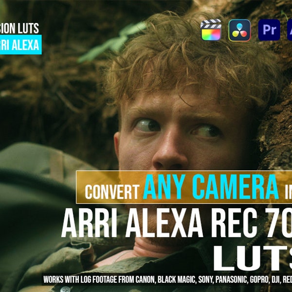 Arri Alexa Conversion LUT for Canon, Sony, and GoPro and more