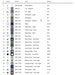 Solar Eclipse Cross Stitch Pattern, Cosmic Embroidery Design, Celestial ...