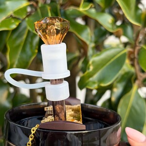40oz quencher plate, stanley name tag, stanley name plate, stanley tag 40oz, tumbler name plate, mug name tag, stanley accessories, straw charm, tumbler bow, leopard tumbler, personalized name, tyla tyger stanley, tiger print stanley lion