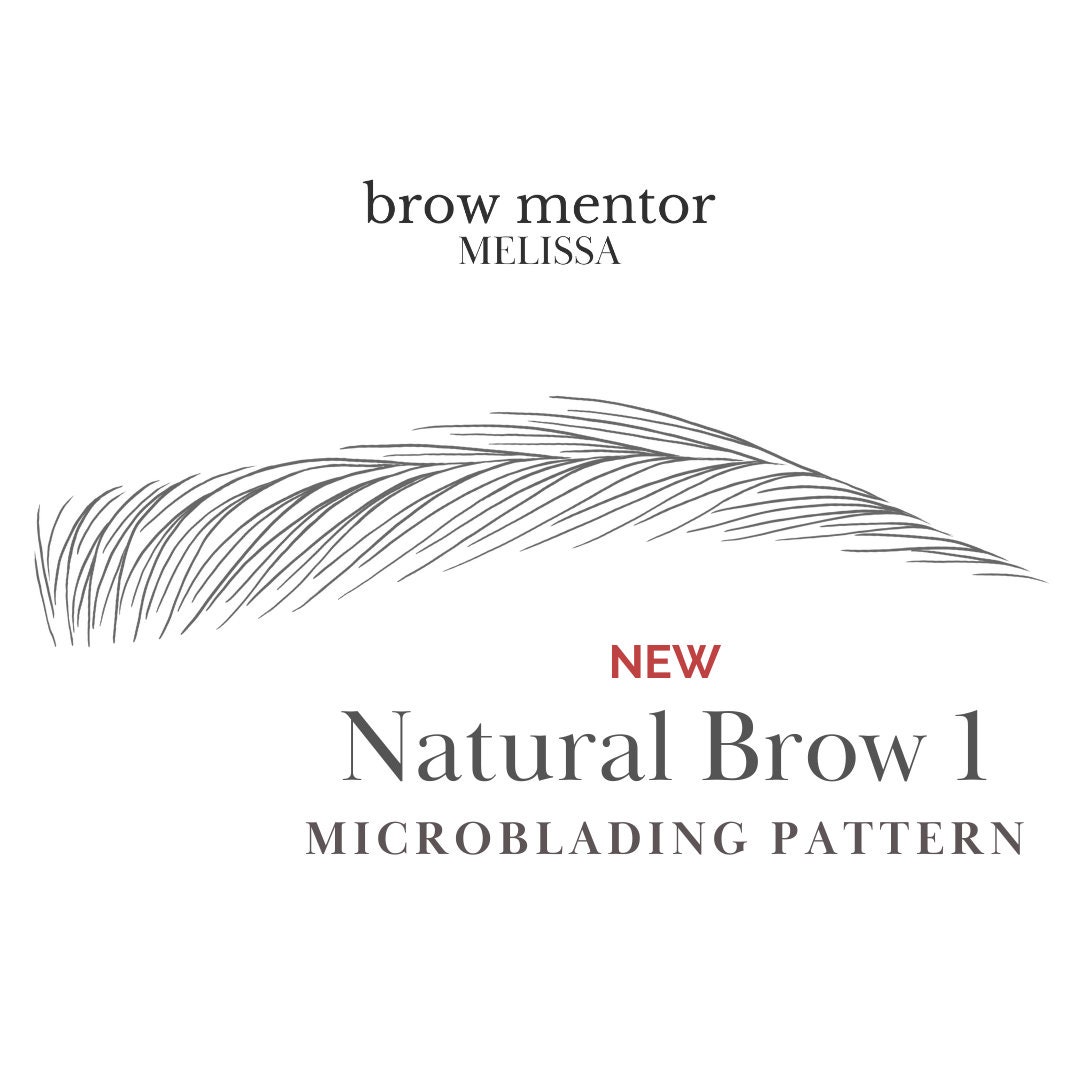 Natural Brow 1 Stepbystep Microblading Pattern Microblading Stroke