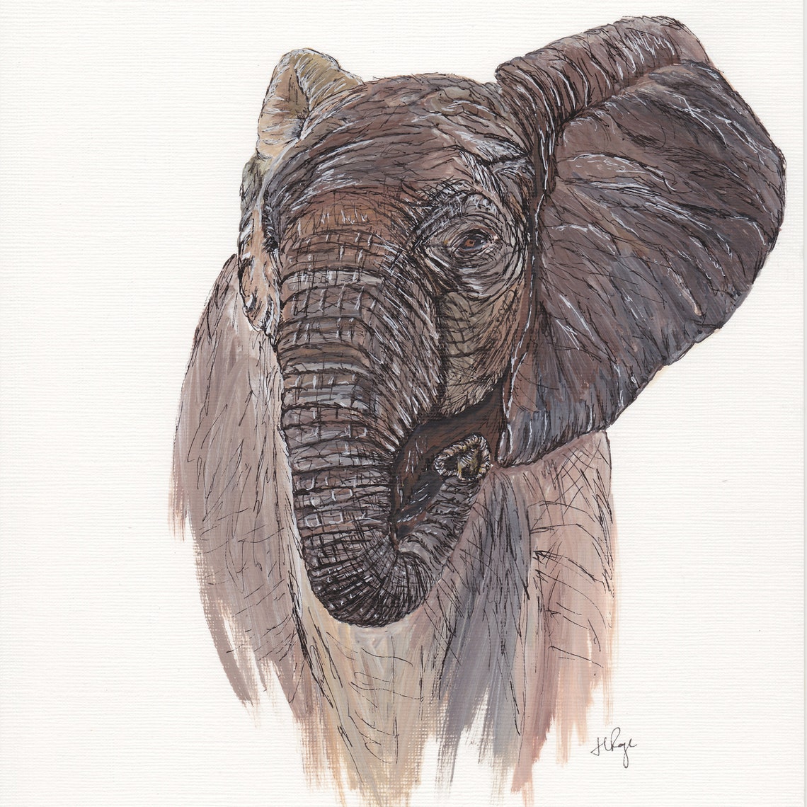 African Elephant Fine Print A4 Animal Art Wildlife Print Etsy