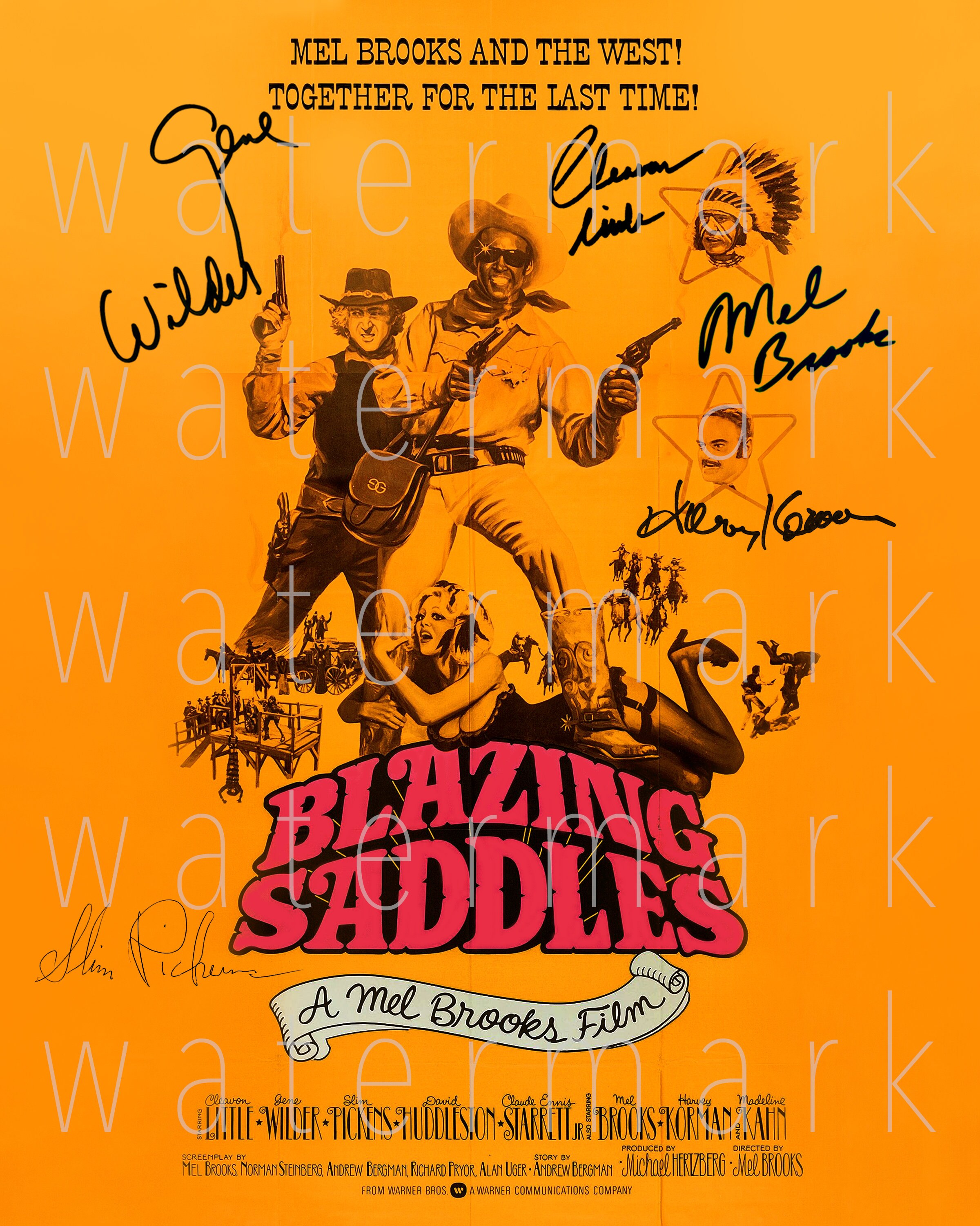 Blazing Saddles Cast 05 - pf6vb6k