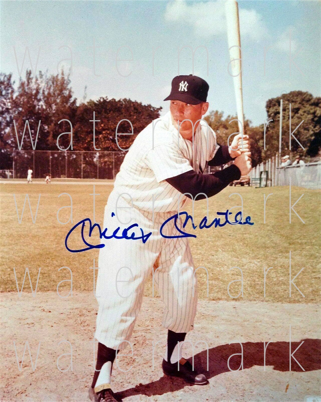 Mickey Mantle Signed 8x10 Photo Autograph Photograph Poster Print