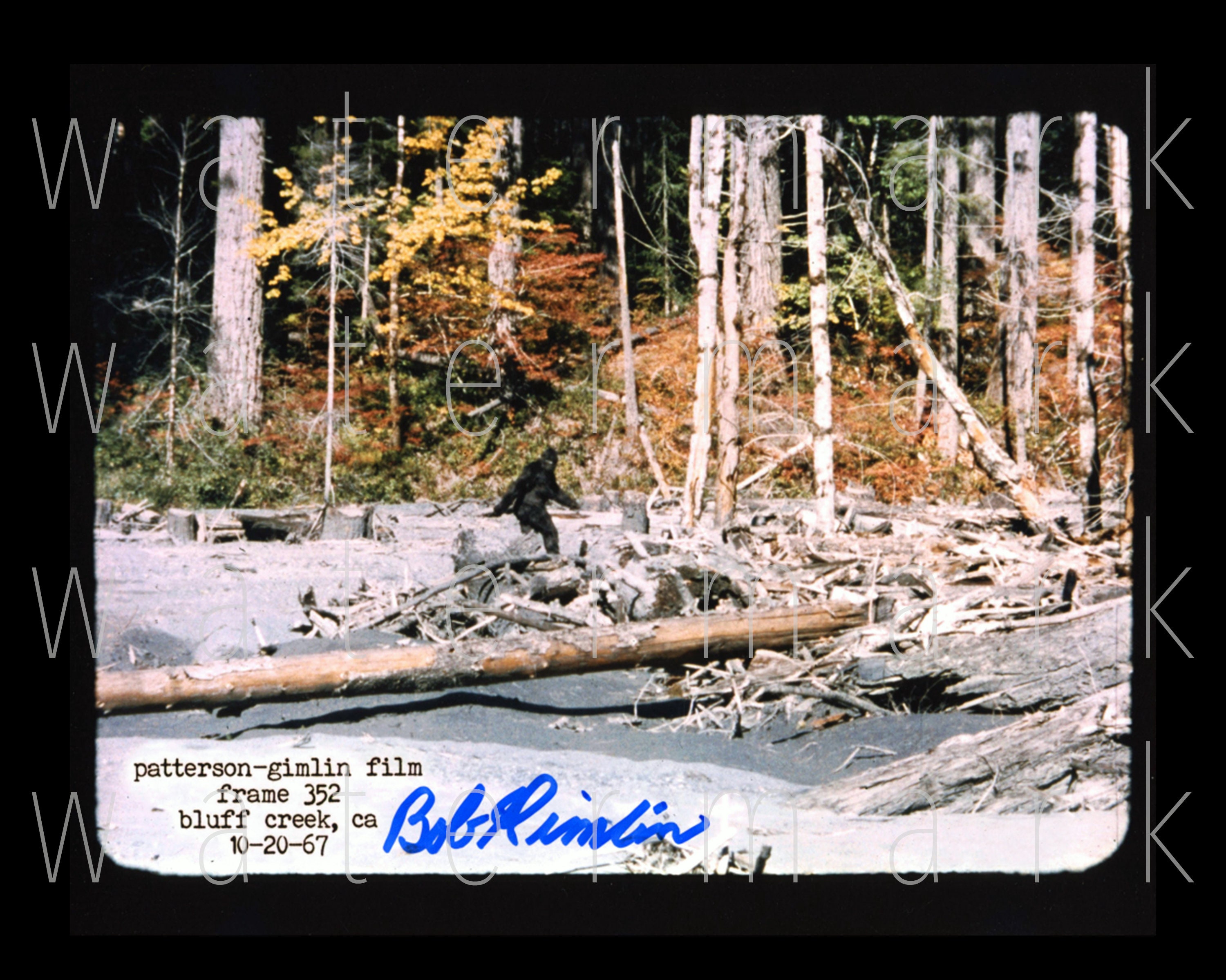 Patterson Film Bigfoot Patty Yeti Sasquatch Shot Glass LIMITED EDITION