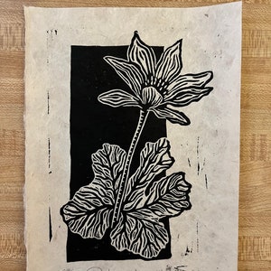 May include: Black and white print of a flower with leaves. The print is on a light brown paper and signed "Heather Rock SD".