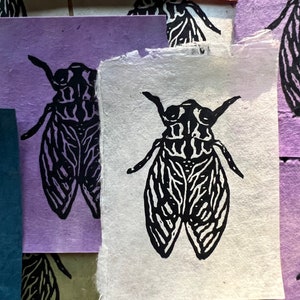 Mini Cicada Linocut Print Etsy