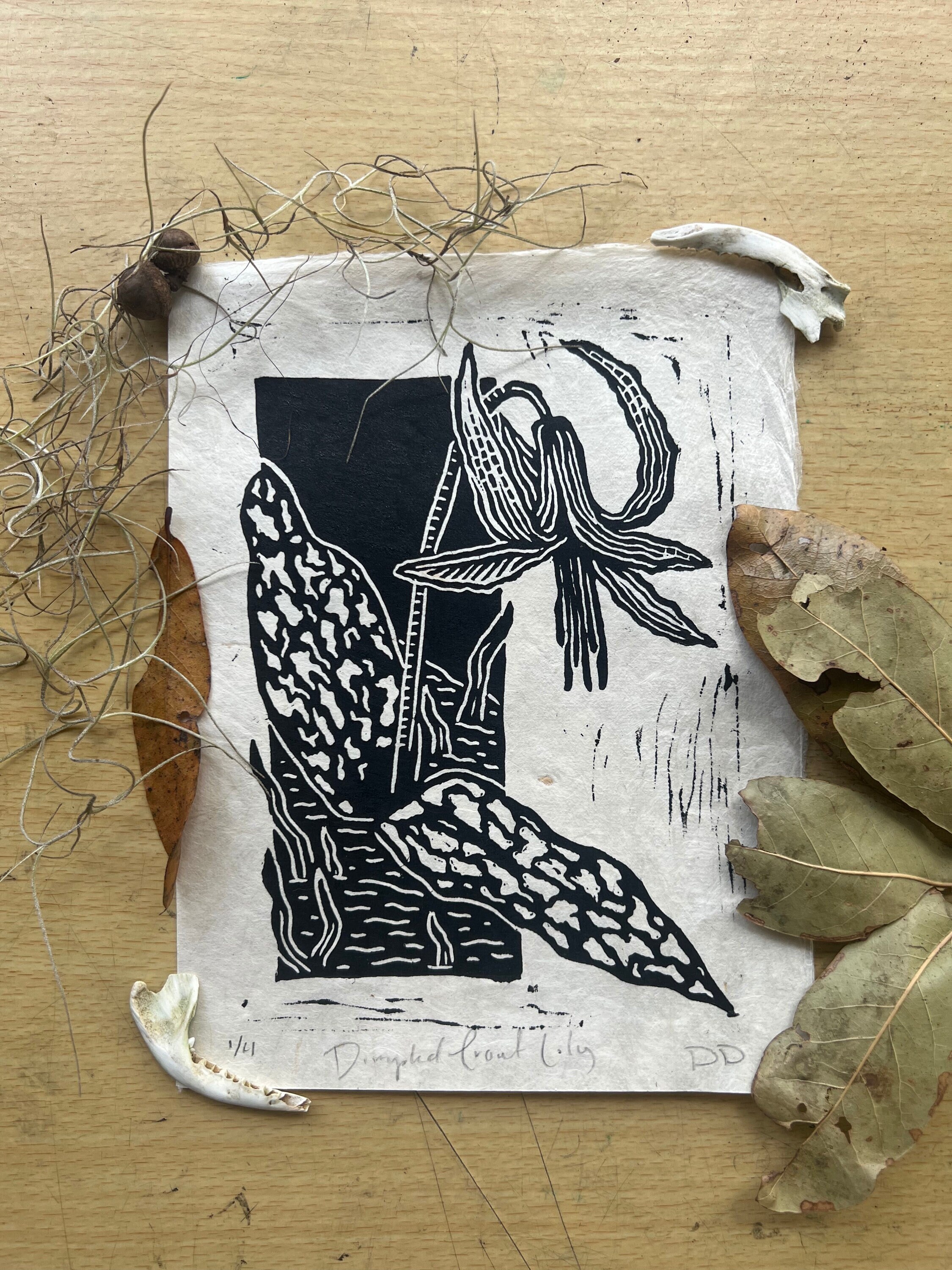 Trout Lily Print, "Spring Ephemerals", Handmade Linocut Print