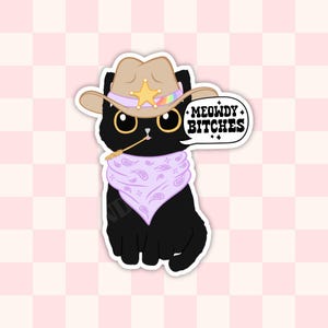 Cowboy Cat Sticker: Meowdy B*tches, Vinyl Reader Sticker