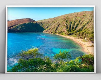 May include: A panoramic view of a secluded cove with turquoise water, a sandy beach, and lush green hills. The water is clear and shallow, revealing the coral reef below. The beach is lined with palm trees and there are a few people enjoying the sun.