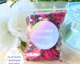 Potion Flowers: Montessori Nature Play Fairy Gift for Kids Party Favour