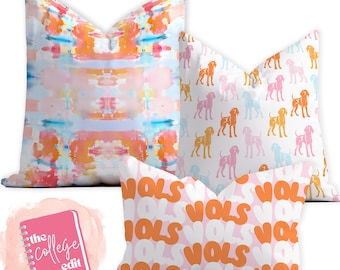 Preppy College Dorm Room Decor, Throw Pillows, University, Tennessee, Volunteers, Smokey, Coonhound, Orange, Pink, Blue