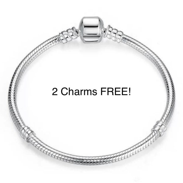 Silver charm bracelet, like the charm bracelet, 2 CHARMS FREE! accessories, charm, charms, bracelet