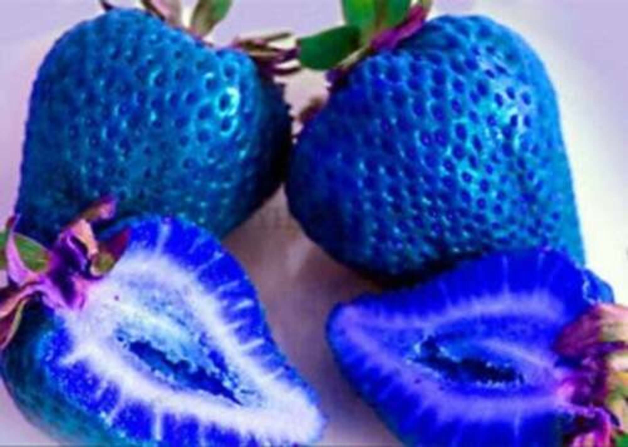 200 SAMEN Blaue Erdbeeren Beeren Garten Frisches Obst Gesunde Erdbeere -  Etsy.de