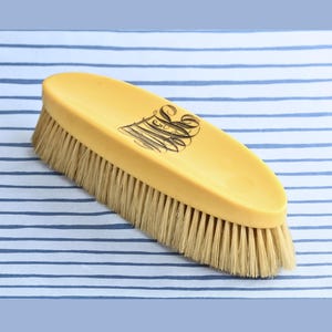Vintage Clothing Brush French 1920s, Celluloid Monogrammed