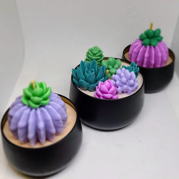 Succulent Candle Etsy