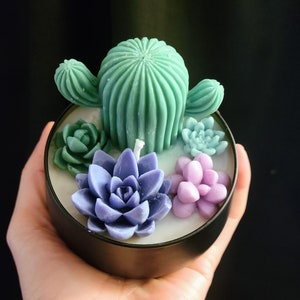 Succulent Candles, Succulents, Unique Succulent Candles, Organic Soy Wax and Beeswax, Home Decor, Scented Candle, Interior design, Vibrant