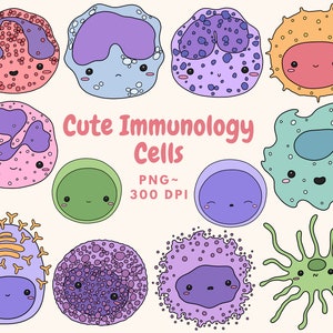 Cute Immunology Cells Clip Art Download digital, Cute Biology Clip Art, Kawaii, Hand Drawn Clip Art