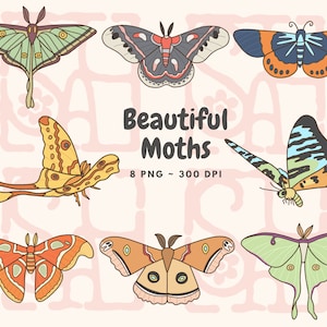 Schöne Motte Clipart digitaler Download png, Motte Illustrationen, Biologie Natur Clipart, Hand gezeichnet Clipart