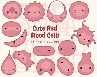 Cute Red Blood Cell Morphology Clip Art, Hematology, Cute biology medical lab tech MLS clip art, Kawaii, Hand Drawn Clip Art