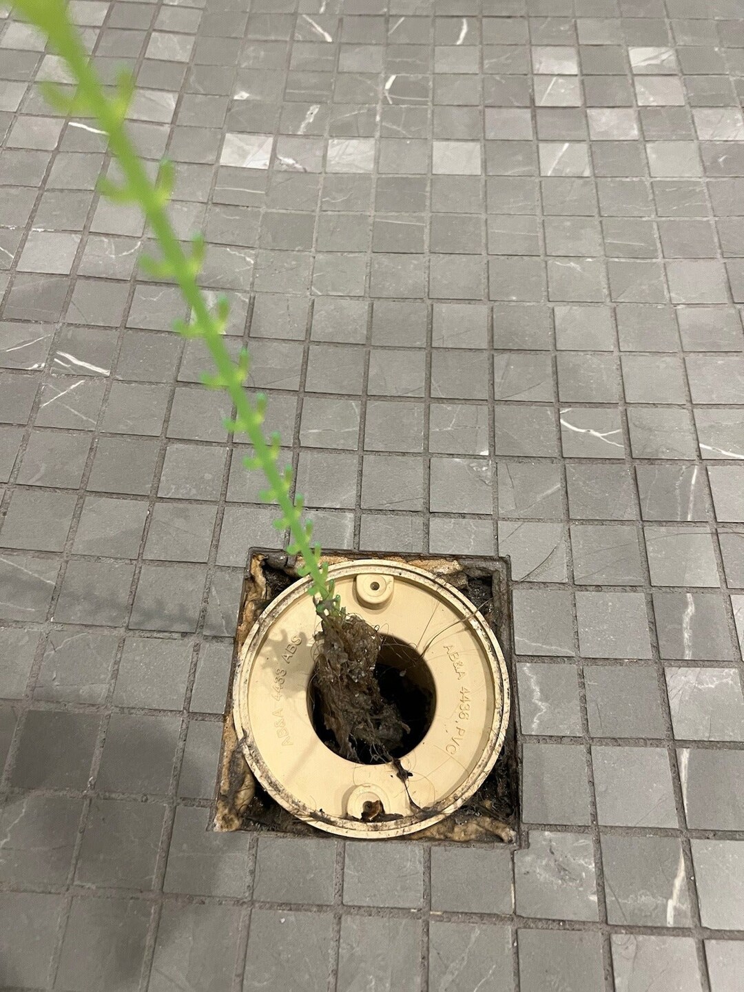 Snaggle Drain Unclogger Effortless Sink and Shower Relief Etsy