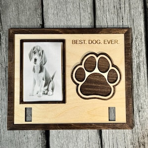 Foto conmemorativa de recuerdo de perro con placa en el collar, tamaño de foto de 9,5 x 7,85, 3 x 5, svg láser