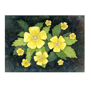 Buttercup Flowers, Watercolor Print, Wildflower Meadow, Wall Art, Home Decor.
