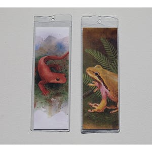 Salamander Bookmark, Frog Bookmark, Amphibian Watercolor Painting