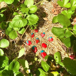 Strawberry Patch Painted Rocks Bird Deterrent Strawberries Garden Stones