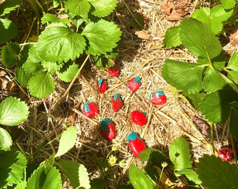 Strawberry Patch Painted Rocks Bird Deterrent Strawberries Garden Stones