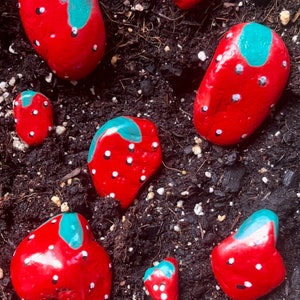 May include: A collection of hand-painted rocks designed to resemble strawberries. The rocks are painted red with white speckles and a turquoise green top. They vary in size and shape, placed on dark soil.