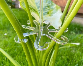 10 Cm Transparente Pflanzentöpfe – 30 Stück Mit Drainageloch & Auslaufsicheren Mesh-Pads