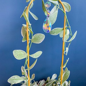 Suncatcher climbing aid for climbing plants | Climbing arch for plants | Metal arch | Plant support | Crystal glass | Suncatcher |