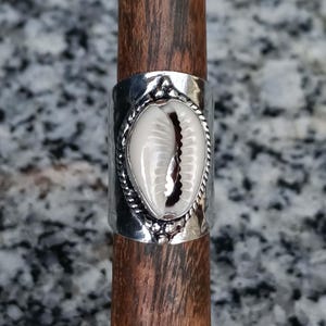 May include: A wide silver-toned metal ring featuring a central white cowrie shell. The shell is framed by a twisted rope-style border and small decorative metal beads at the top and bottom. The band has a hammered, textured finish throughout.