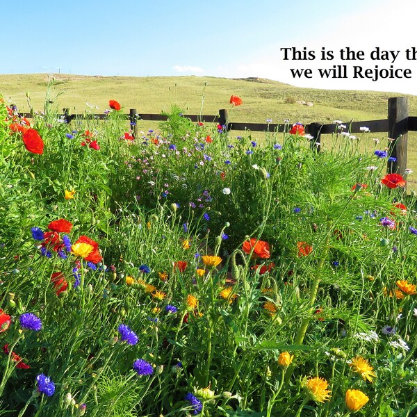 Bible 2024 Calendar Etsy bible-2024-calendar-etsy