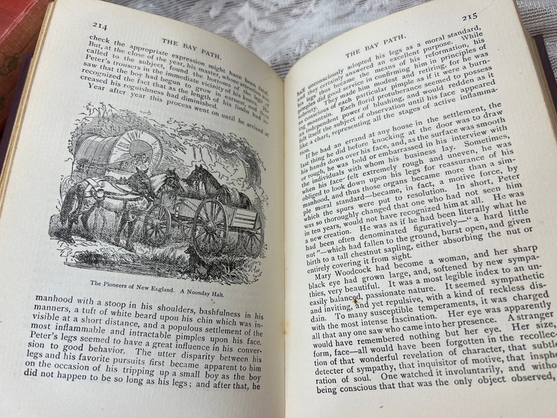 1899 The Bay Path JG Holland | Antique Historical Novel | Colonial New England Book | Maroon Gold Gilt Book bild 8