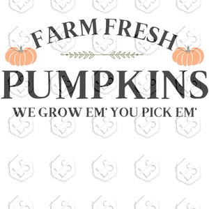 Frische Kürbisse SVG: Herbst Farmhaus Stil (Digitaler Download)