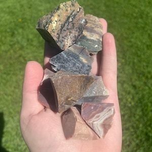 Raw Fancy Jasper | 1-2” rough fancy Jasper pieces | natural Jasper crystals unpolished | nature meditation stones