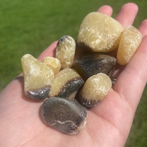 Septarian Tumbles | medium sized Septarian tumbles | polished Septarian crystals | dragons stone crystal