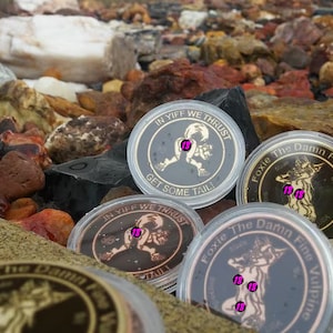 Foxie Challenge coin,&quot;in yiff we thrust&quot; &quot;Get some Head/Tail