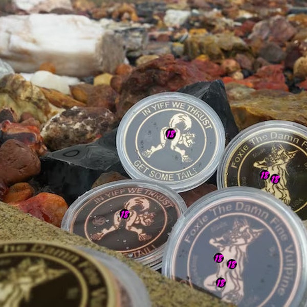 Foxie Challenge coin,"in yiff we thrust" "Get some Head/Tail