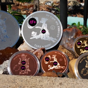 Furry Yiff coin Take A Risk/Play it Safe