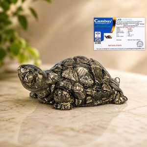 May include: A metallic, natural pyrite turtle figurine. The turtle has a textured shell and detailed features. A lab report is visible in the background. The figurine is on a marble surface.