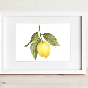 Lemon on Branch - Watercolor Art Print