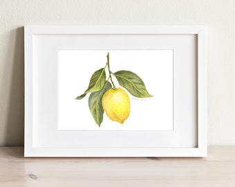 Lemon on Branch - Watercolor Art Print