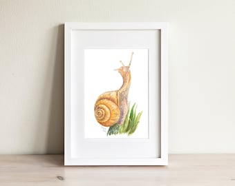 Little Snail - Watercolor Art Print