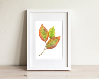 Fall Leaves - Watercolor Art Print