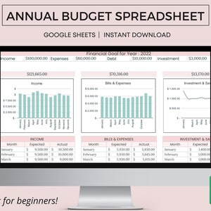 Annual Budget Spreadsheet, Google Sheets Budget Template, Financial Planner, Monthly Budget Spreadsheet, Budget Tracker, Budget Planner