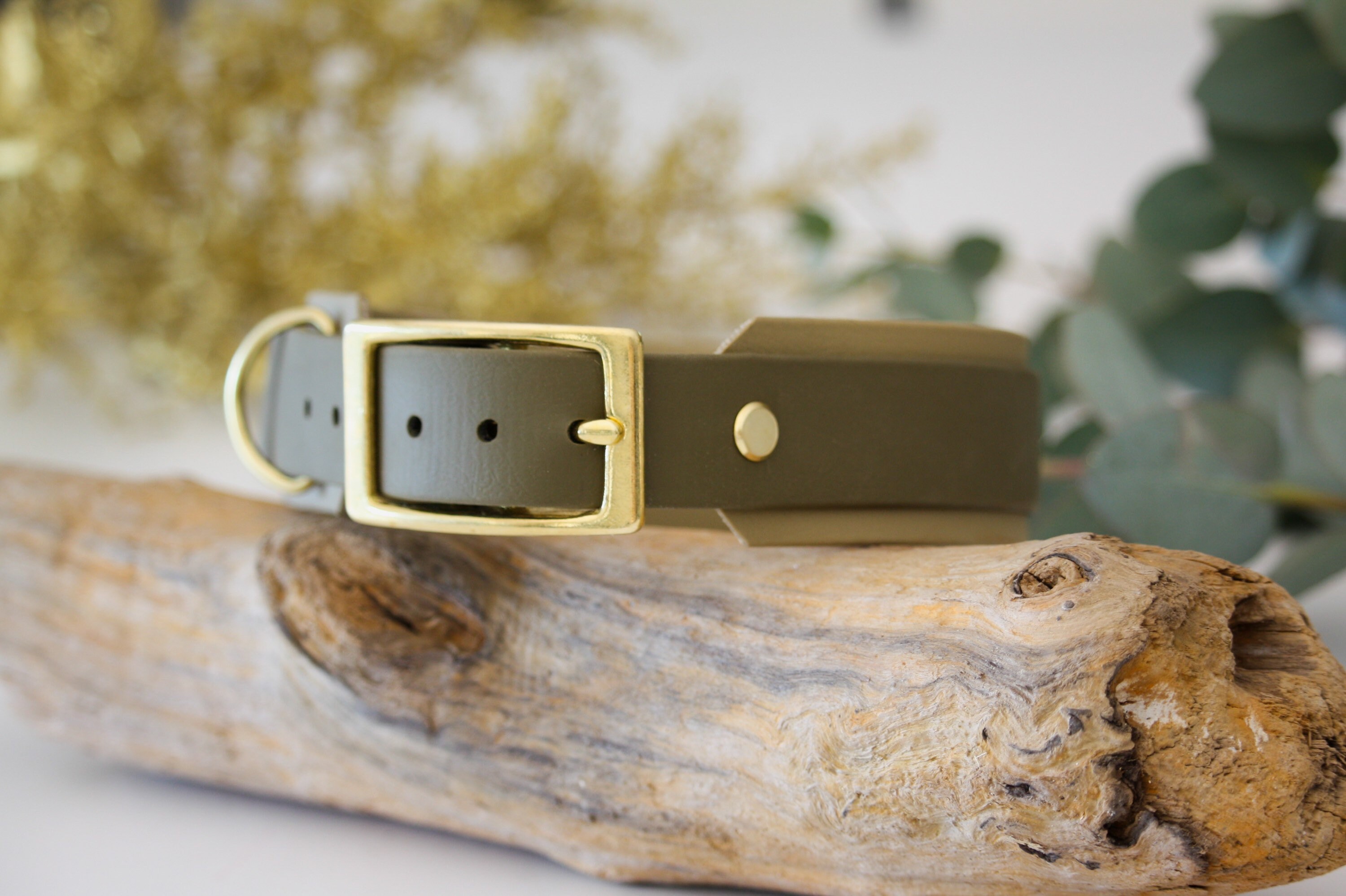 Collier Biothane Doublé 38 mm