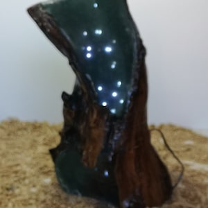 A Unique Olive Wood hollow log LED Mood Lamp/Nightlight
