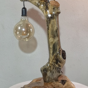 Citrus wood Table Lamp on Olive Root base